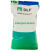 Campus Green Seed