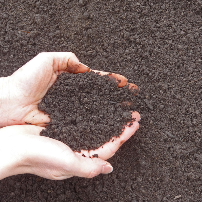 Top Soil vs Garden Soil: What’s the Difference & Which One Do You Need in Innisfil?