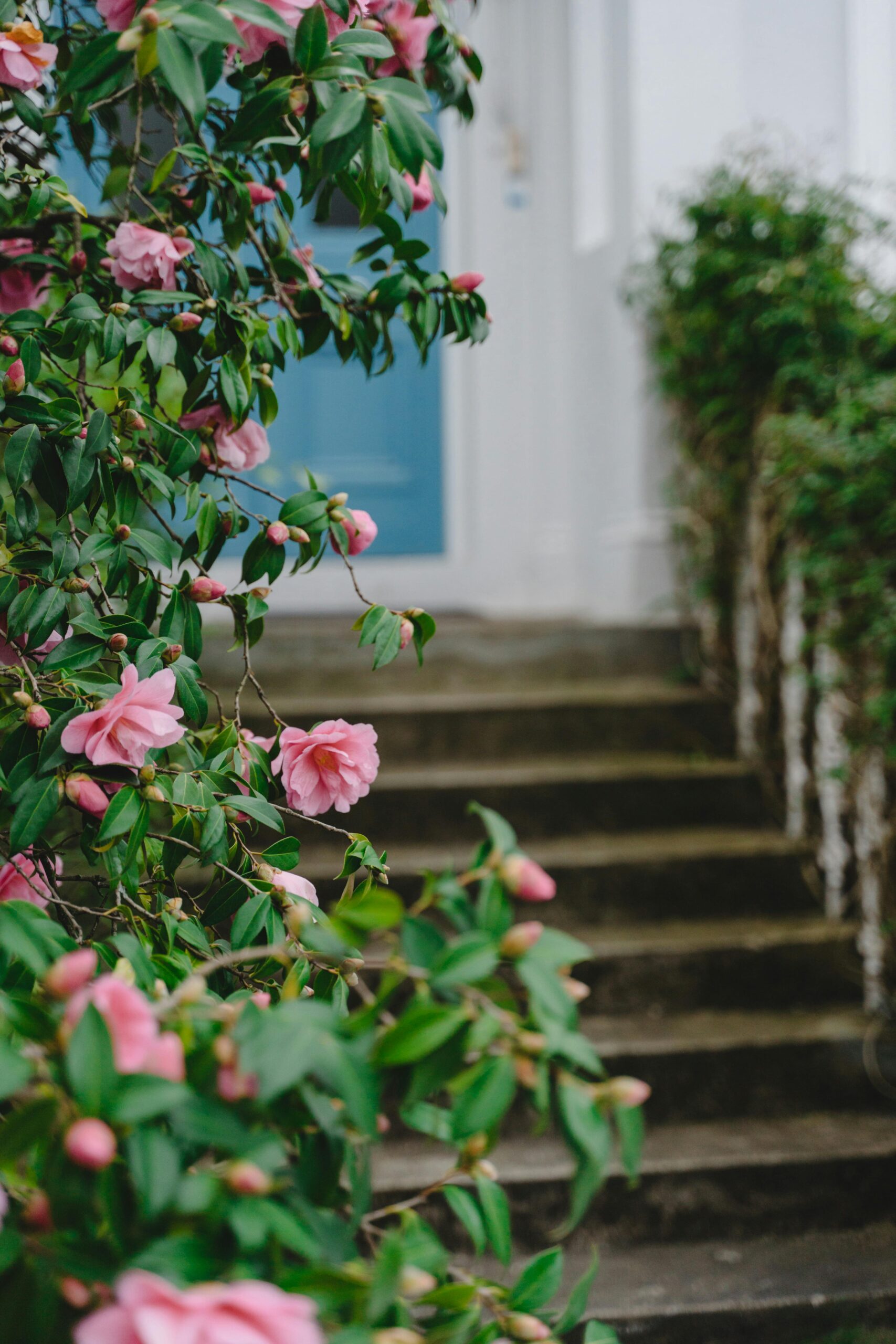 front garden landscaping ideas, curb appeal Innisfil, residential landscaping, home exterior design