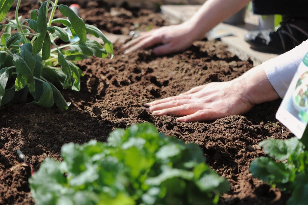 Types of Soil - Kells Garden