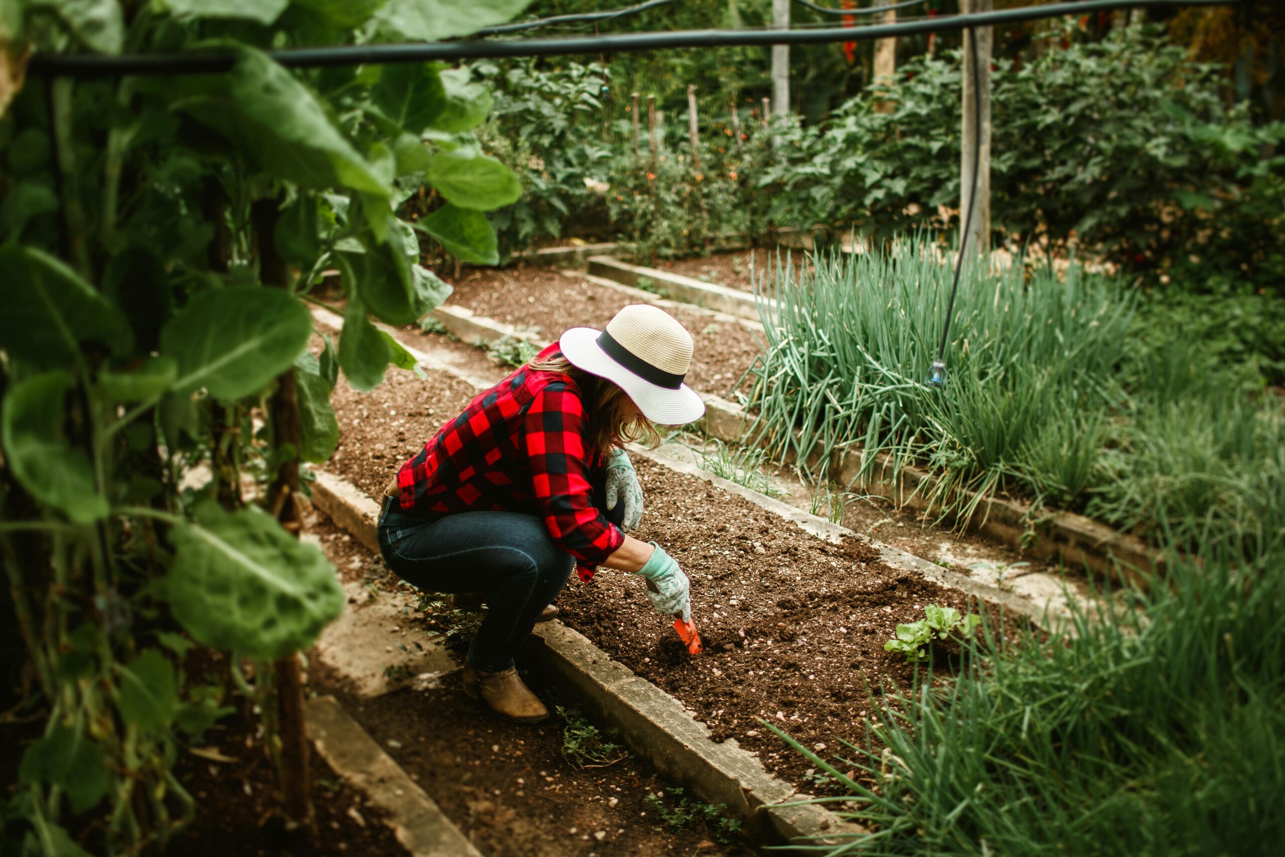 How to Make Soil More Acidic: A Guide from Kell’s Garden City