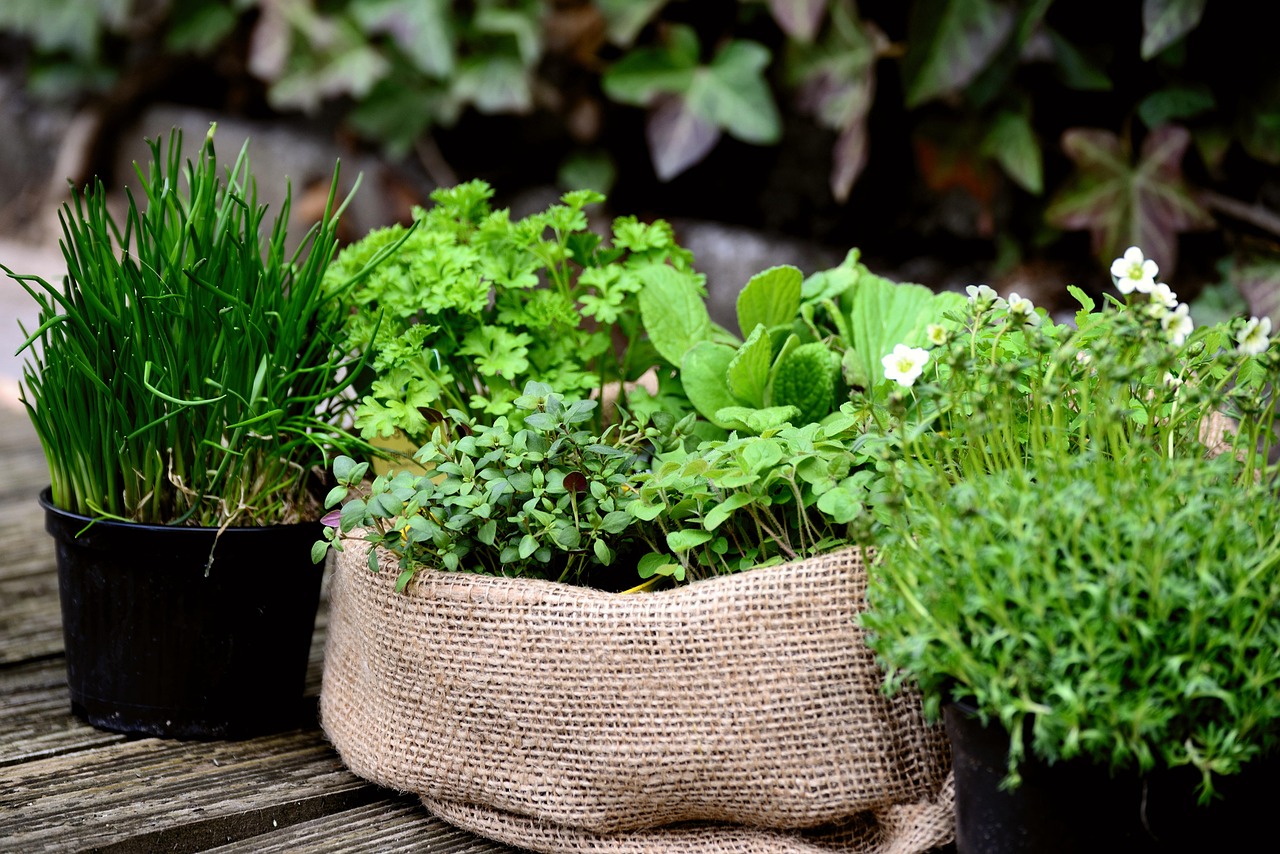 Herb Garden Ideas: Creative Ways to Grow Fresh Herbs Indoors & Out