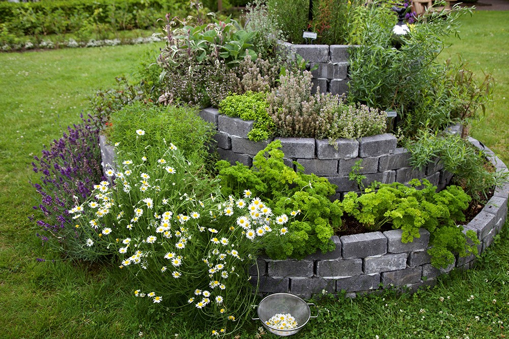 Classic In-Ground Herb Spiral