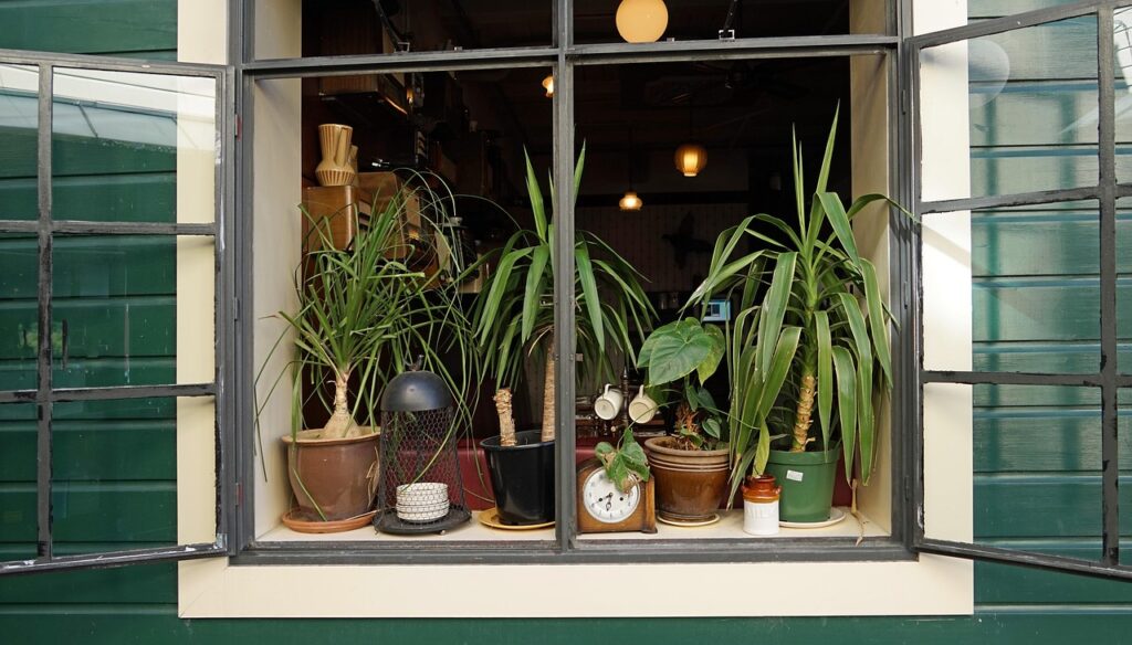 Plants on a kitchen window sill - herb garden ideas