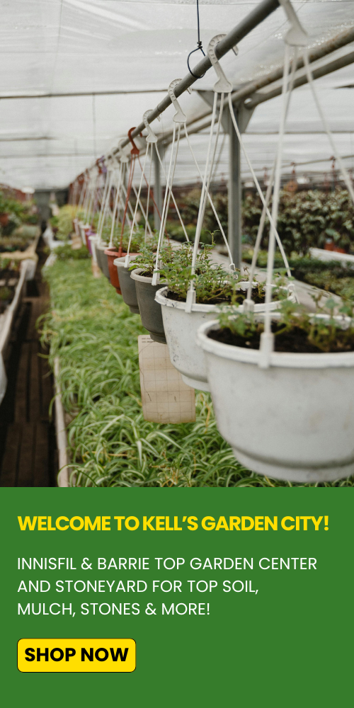 best garden center innisfil